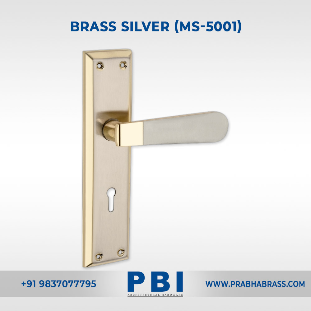 Brass-Silver-(MS-5001)